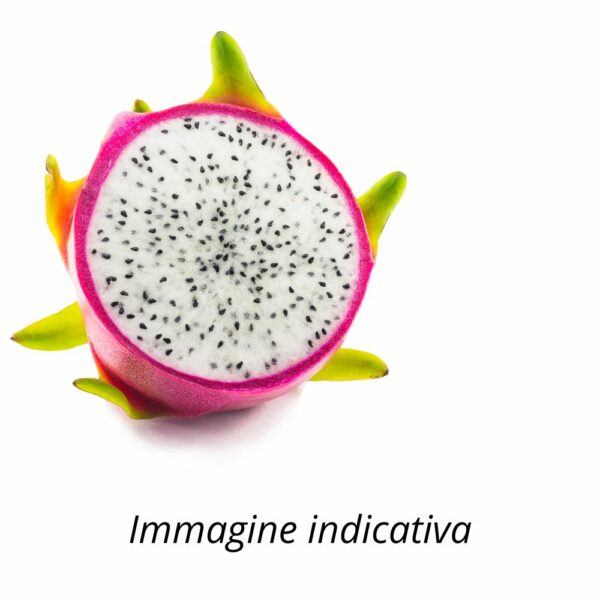 Semi di PITAYA Frutto del Drago