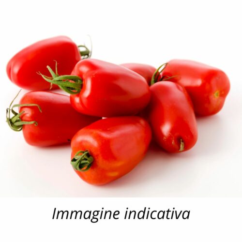 Semi di Pomodoro San Marzano