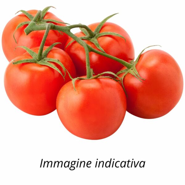 Semi di Pomodoro a Grappolo