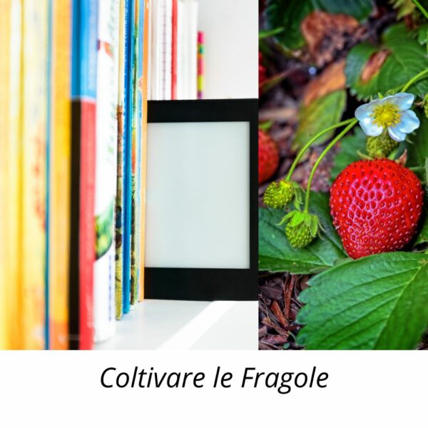 Guida Digitale: Coltivare le Fragole